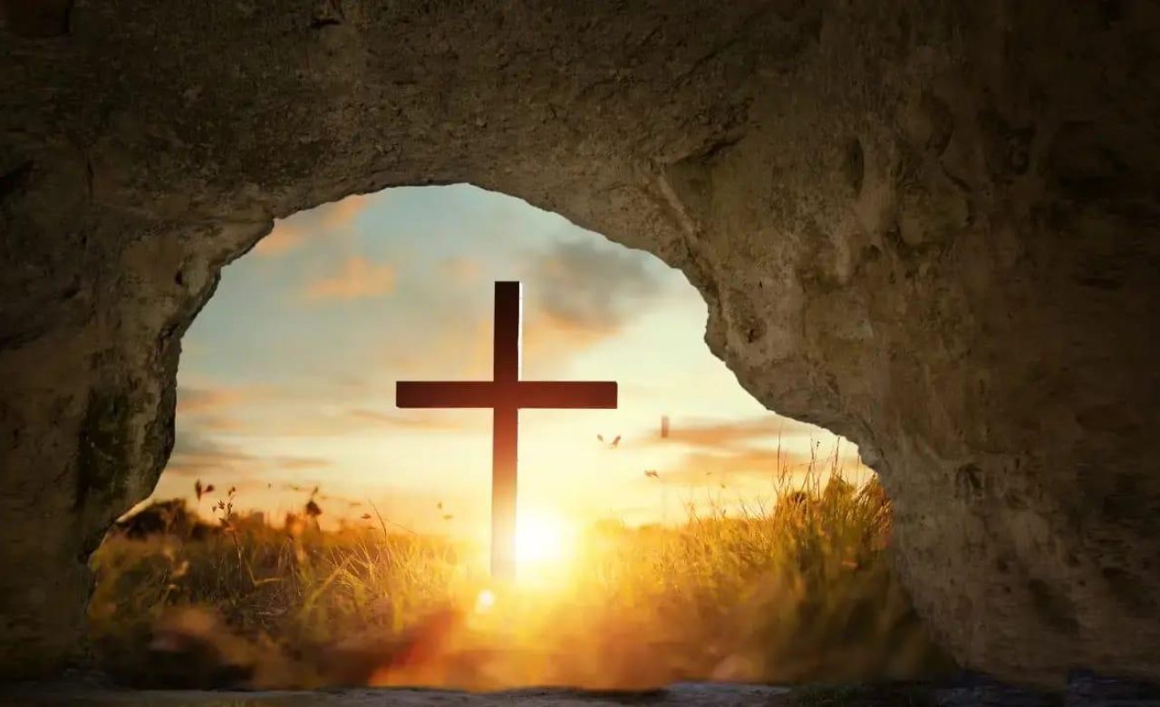 WhatsApp Image 2026-04-03 at 1.55.32 PM (1)